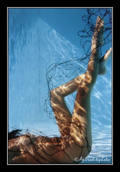 102 La sirène dans le filet